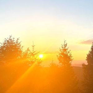 Meet your Posher, Les